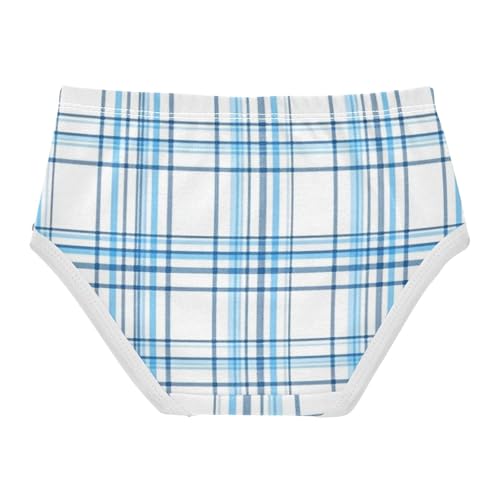 Girls' Hipster Panties Organic Cotton Toddler Underwear for Girls Blue Grid Plaid2