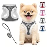 BEAUTYZOO Plush Dog Harness for Small Dogs, No Pull Dog Harness and Leash Set, Soft Fleece Escape Proof Puppy Vest Harness for Winter, Reflective Lightweight Step in Harness for Girl Boy Dogs, Grey S
