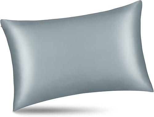 ALASKA BEAR - Funda de almohada, de seda natural, hipoalergénica, 19 mommes, 600 hilos, 100% seda de morera, tamaño king, con cierre de cremallera