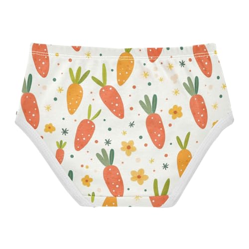 Wusikd Colorful Polka Dots Girls' Underwear Cotton Carrots Girls Briefs Soft Toddler Underwear 2T2