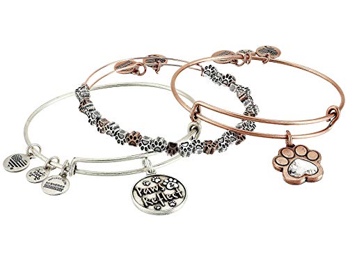 Alex and Ani Paws and Reflect Set of 3, Two-Tone Bangle Bracelet Rafaelian Rose Gold One Size