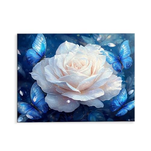G fW^G ̃o LbgŃyCguVƃANG̋, l̎q̂߂̃Mtg Paint by Numbers h DIY ɂAN ʊGCeA rO 40x50cm (t[X) p-666