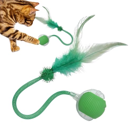 Mendoule 猫用おもちゃボール - 自動キャットおもちゃ | スマート静音充電式 しっぽ付きボール 小型犬用 運動 アクティブチェイス 屋内遊び