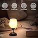 Boncoo Touch Control Table Lamp Dimmable Small Lamp, Ambient Light with Opal Glass Shade Simple Night Light, Modern Accent Lamp Bedside Nightstand Lamp for Bedroom Living Room, E12 Bulb Included