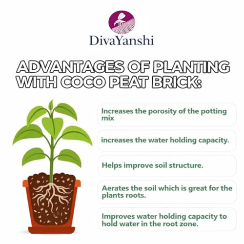 Image of Divayanshi Cocopeat Block for Plants & Gardening | 100% Natural Organic Growing Medium | High Water Retention Soil Conditioner for Home Garden, Nursery & Pots- 2kg