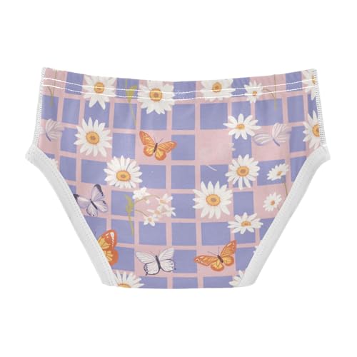 Wusikd Checkered Butterflies Boys' Underwear Cotton Daisies Boys Briefs Soft Toddler Underwear 2T2