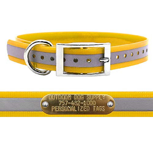 Reflective Waterproof D-Ring Dog Collar w Custom Name Tag, SCH Bus Yellow