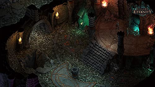 Pillars of Eternity Playstation 4 - vue 5