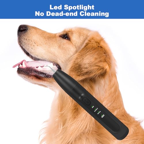 Image of Dog Plaque and Tartar Remover,Dogs Teeth Cleaning Kit with Led Light | 3 Modes Dog Tooth Plaque Remover,Canident-Sonic Tooth Cleaner for Dogs and Cats,Low Noise Ultrasonic Pet Teeth Cleaner,Black