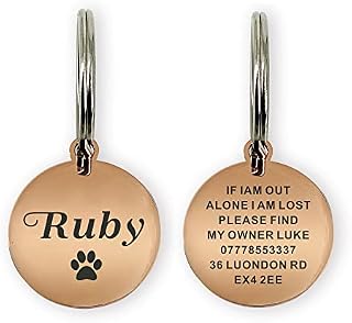 ID Tag for Dog Cat Pet Personalised Dog Tag Dog Collar ID Tag Collar for Dogs Cats Pets Custom Any Text (Champagne Gold, Bone)