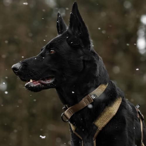 Non-Stop Dogwear Solides verstellbares Halsband WD, Olivgrün