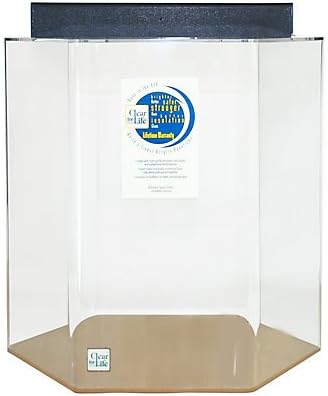 Acrylic Hexagon Aquarium 15 Gallon Clear