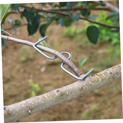 Modérateurs de branches légers pour maximiser la fructification des pruniers - 5
