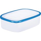 リス 保存容器 クリアブルー 290ml パッセハード 抗菌加工 電子レンジ対応 日本製 WA-1