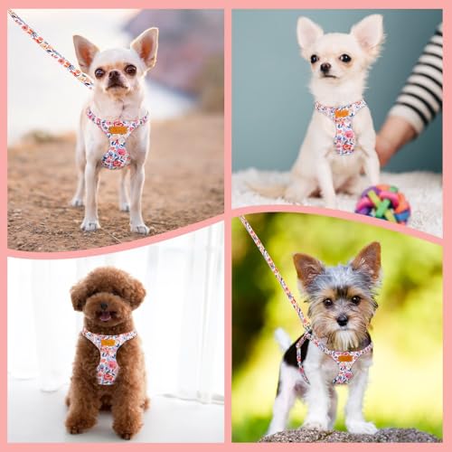 SlowTon Hundegeschirr mit Leine, No-Pull leichtes weiches Wildleder-Welpengeschirr mit Blumenmuster und Schnappschnalle, verstellbares Geschirr Hund für kleine und mittelgroße Hunde