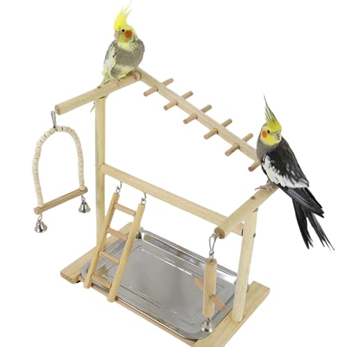 Buhygn pvCX^h | q uR oߋ - O\ȃXeXgCƃJbvt ؐIEX^h | IJCR ZLZCCR p  { P ƒp Op