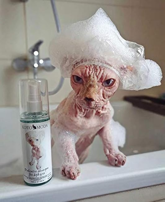 Probiotic Shampoo for Sphynx Cats (4.22)-wzuLaocc