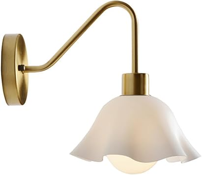 Gooseneck Wall Sconce Lighting Bedside Wall Mount Light Nordic Acrylic Wall Lamp Shade Modern Metal Hardwired Sconces for Living Room Bedroom Hallway Wall Lights