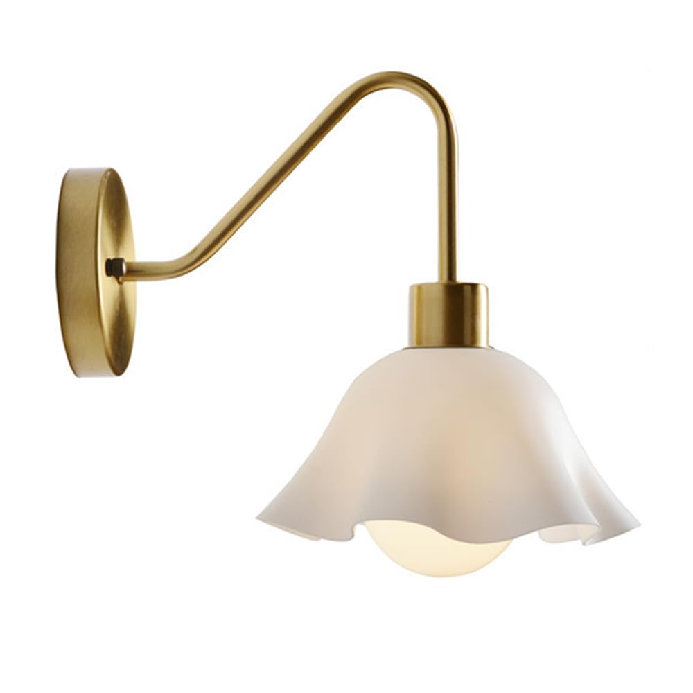ITOSUI Gooseneck Wall Sconce Lighting Bedside Wall Mount Light Nordic Acrylic Wall Lamp Shade Modern Metal Hardwired Sconces for Living Room Bedroom Hallway Wall Lights