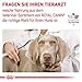 Royal Canin Veterinary Diabetic Special Low Carbohydrate Canine Mousse | 12 x 410 g | Nassfutter für ausgewachsene Hunde | Regulierung des Blutzuckerspiegels | Hoher Proteingehalt