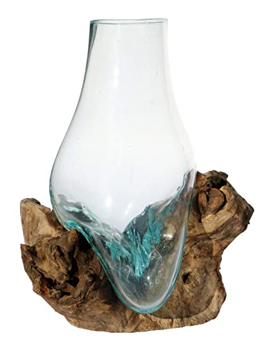 Wogeka - Vase en verre sur racine en bois - (B-Ware) de style moderne comme idée cadeau pour décorer, verre haut M