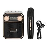 Karaoke Hine, HiFi Stereo Sound tragbarer Bluetooth -Lautsprecher mit Mikrofon 2000 MAH Batterie...