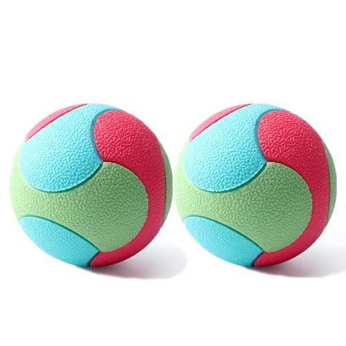 Coogime 2 Stück Hundeball aus Naturkautschuk, Jagdball für Hunde Hundespielzeug Gummiball mit 5,5cm /6,5cm/7.5cmRobuster und vielseitiger Ball (5.5cm)