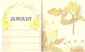 Hardcover A Victorian Flower Album : Book of Days Book