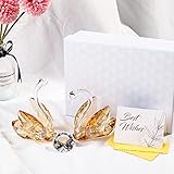 Album 50 Anniversario Matrimonio Luce Notturna 50° Anniversario Matrimonio - Design Acrilico Con Data | Regalo Per Coppie, Genitori | Anniversario Oro Idea Regalo Oro Matrimonio