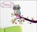 Hoot Owl on Branch Removable Wall Decals Stickers Peel and Stick Won't Harm Walls