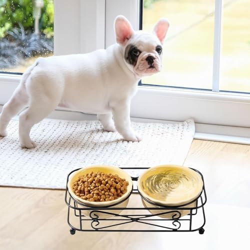 Ensemble de bols en céramique pour chat et chiot avec support surélevé - 8
