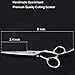 Dream Reach Hair Cutting Scissors Professional Barber Shears, 6.0 inch Hairdressing Regular Scissor Salon Razor Edge Hair Cutting Shear Japanese 440C Stainless Steel