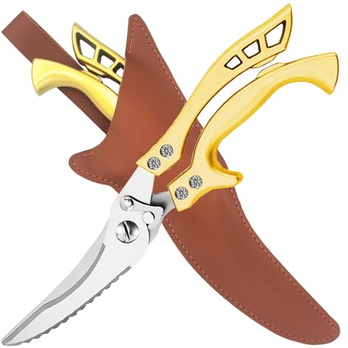 ANDONG (Ah) ϋvLb`{΂ ̃GbWt olLb`͂ vtFbVi`LoT~ S[h