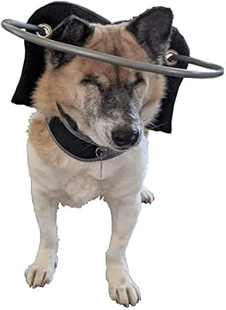 blind dog harness amazon
