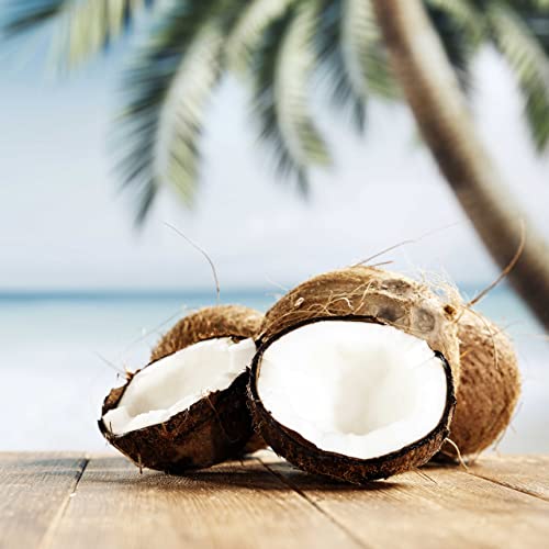 Briganti Elegant Candle In Decorative Black And Gold Glass Jar - Coconut Island | Fresh Coconut And Bamboo Premium Fragrance Oil Blend, Highly Scented Natural Soy Wax Candles 4Oz #TOP5