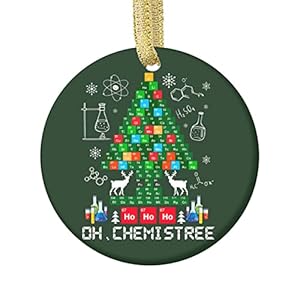 Biology Chemistry Physics Christmas Ornament – Funny Science Ornament – Gift Ceramic Holiday Decoration Present Porcelain 2.75” Flat with Both Sides