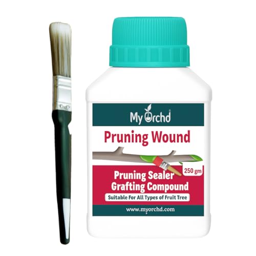 Image of Pruning Sealer Paste for Trees & Plants | Grafting & Wound Healing Cut Paste | Bonsai, Fruit Tree, Rose, Adenium | Tree Cut Sealant After Pruning | Pack of 250Gm-Aqua Color