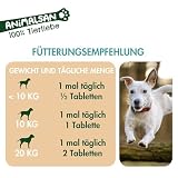 Animalsan B-Fit – Vitamin B-Komplex Tabletten für Hunde – Ergänzungsfuttermittel mit Vitamin B1, B2, B5, B6, B12 & Folsäure – zur täglichen Versorgung – 100 Tabletten