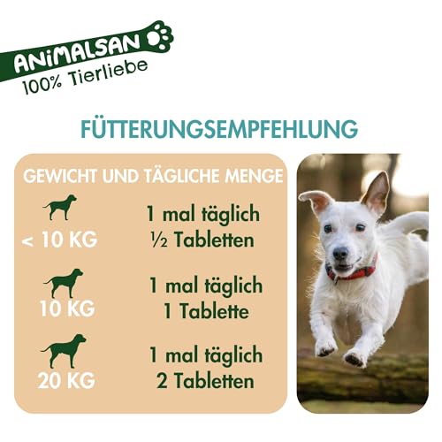 Animalsan B-Fit – Vitamin B-Komplex Tabletten für Hunde – Ergänzungsfuttermittel mit Vitamin B1, B2, B5, B6, B12 & Folsäure – zur täglichen Versorgung – 100 Tabletten