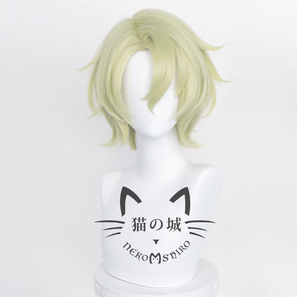 Amazon.co.jp: 猫の城 巴 日和 （ともえひより) コスプレウィッグ