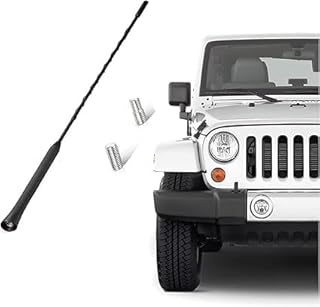 SACAR Car Antenna Universal 40cm Car Antenna with M5 and M6 Screw, Black - Length 40cm