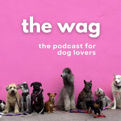 Couverture de The Wag