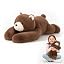 Brown Bear