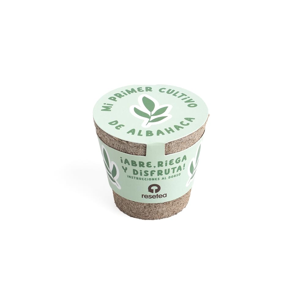 Mi Primer Cultivo de Albahaca – Kit Educativo Montessori y STEM | Incluye Semillas de Albahaca, Maceta Biodegradable y Sustrato | Actividad Sensorial y Regalo Original para Niños y Adultos | Resetea