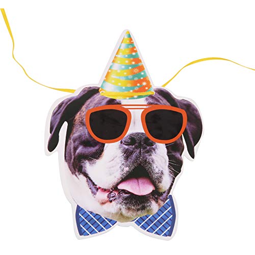 Decorazione di Compleanno Cane, 13 Pezzi Banner di...