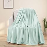 BEAUTEX Fleece Throw Blanket for Couch Sofa or Bed Throw Size, Soft Fuzzy Plush Blanket, Luxury Flannel Lap Blanket, Super Cozy and Comfy for All Seasons (50' x 60',Mint)