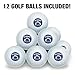 Get Berned Burned Bernie Sanders Burning Democrat Hair Wilson Golf Balls 12 Pack, Regulation Size Full Color Premium Golf Balls