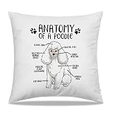 DIBOR Anatomy of A Poodle Throw Pillow Covers 18x18 in - Gift for Dog Lovers Poodle Mom Girls Women,