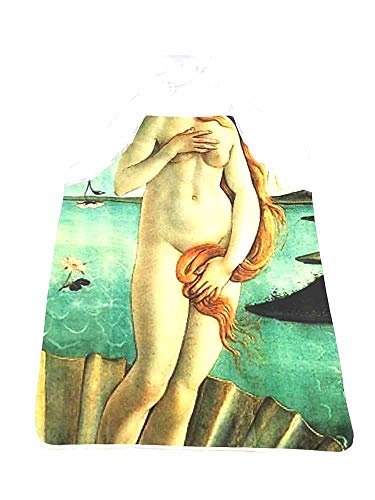Tablier 80 x 60 cm sexy nude avec lacets impression amusante et porte-clés Robb inclus