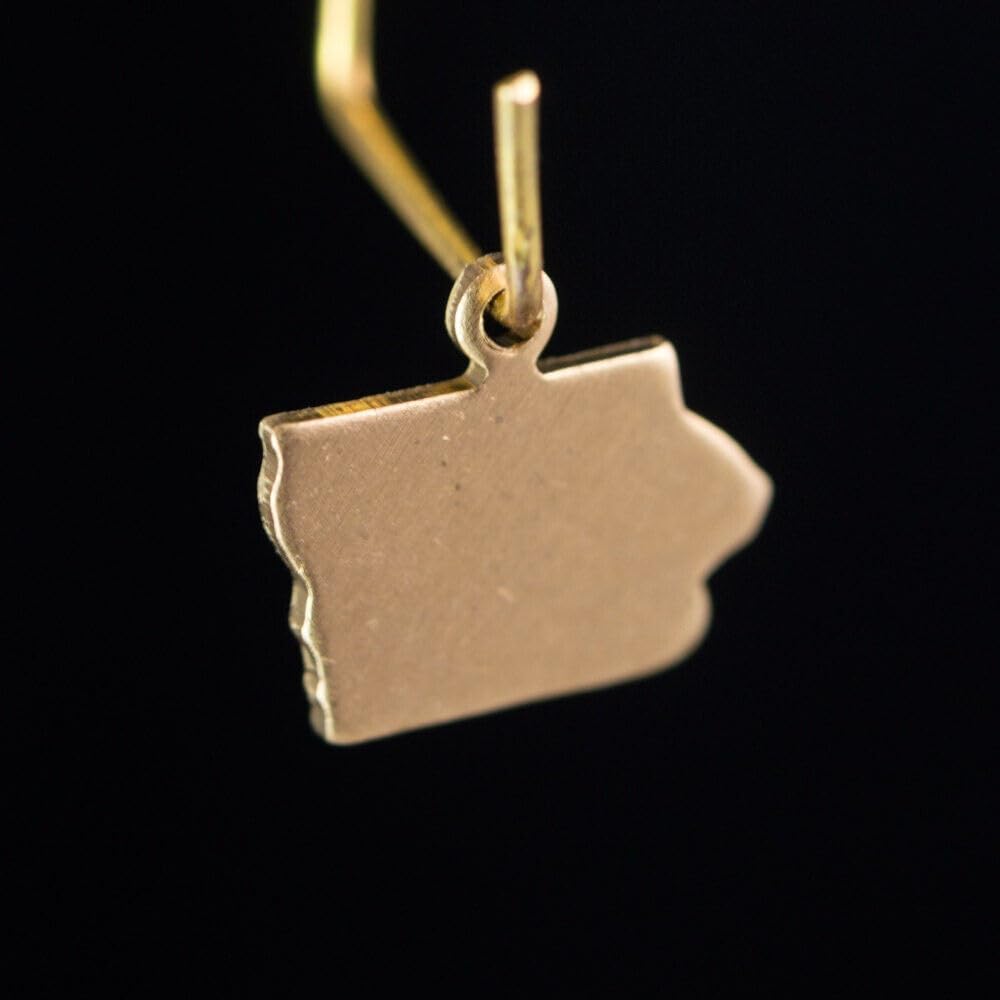 Raw Brass Iowa Blank State Charm Drops 10x12mm (6) chr228NN